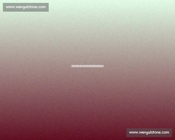 拜仁官宣博阿滕实习告吹：舆论漩涡中的无奈抉择